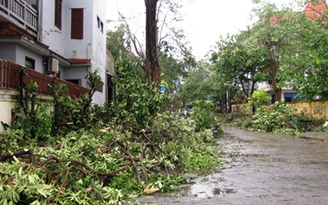 Sau bão số 10: Công nhân vệ sinh gồng mình xử lý rác