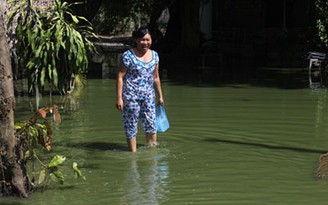 Vỡ bờ bao, nước thải nhà máy tràn ra ngoài