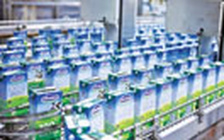Xuất khẩu sữa Vinamilk tăng trưởng bình quân 62% trong 5 năm