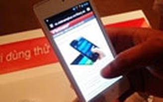 Chính phủ yêu cầu kiểm tra vụ "Đồng loạt tăng giá 3G"