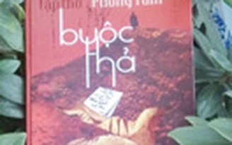 Hiu hiu buộc thả