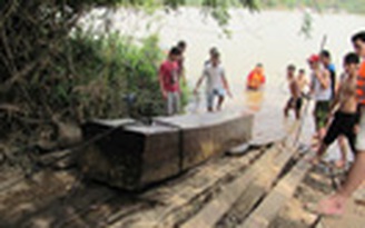 'Vớt' được cả trăm mét khối gỗ lậu trên sông
