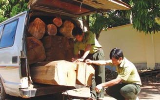 Gỗ lậu trên xe khách