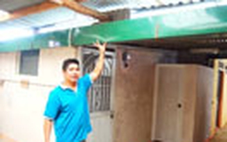 ‘Khát’ giữa thành phố