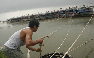 Ngư dân ‘ngán’ đưa tàu thuyền vào khu tránh trú bão