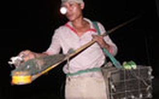 Mưu sinh bằng nghề soi nhái