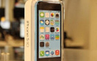 Apple giảm lượng sản xuất iPhone 5C