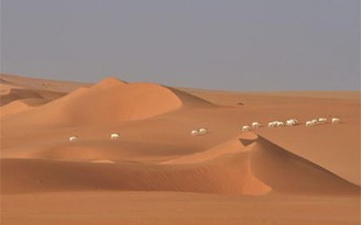 Sự suy tàn của động vật Sahara