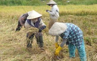 Thủ tướng Nguyễn Tấn Dũng: Nếu để nông dân nghèo sẽ không có nông thôn mới
