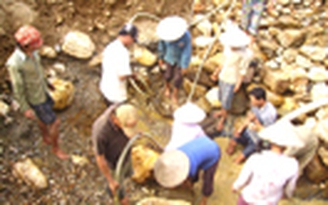 Phạt 80 triệu đồng 2 người khai thác vàng, vận chuyển gỗ trái phép