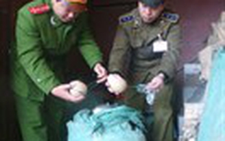Lập rào chắn thép chống buôn lậu