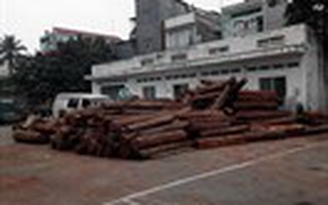 Phát hiện gần 50 m3 gỗ không rõ nguồn gốc