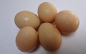 Dinh dưỡng cho trẻ gầy