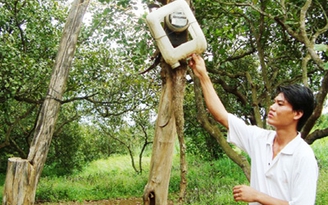 Sống khốn khổ vì điện có cũng như không