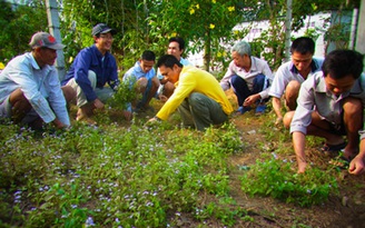 Nhà trọ cho người tâm thần