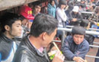 Ấn giả đền Trần tung hoành