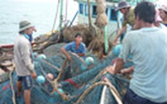 Hàng loạt tàu cá ở Bạc Liêu ra khơi bám biển