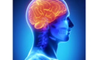 Thiết bị cấy ghép não có ích cho bệnh nhân Parkinson