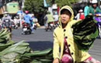 Lá dong xuống phố