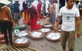 Ngư dân đón lộc biển đầu năm