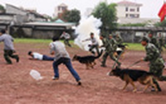 “Lính xanh” luyện khuyển