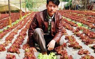 Nông dân công nghệ cao - Kỳ 4: Làm giàu nhờ rau “tử tế”