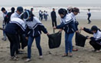 Học sinh, sinh viên làm sạch bãi biển Sầm Sơn