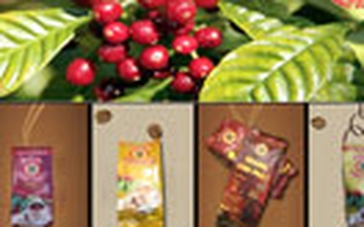 Hoàng Anh Phát Coffee - Cà phê Việt đầy đam mê