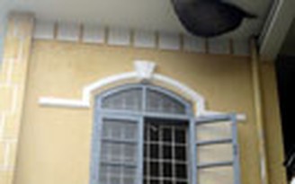 Hiểm họa trong... tòa án