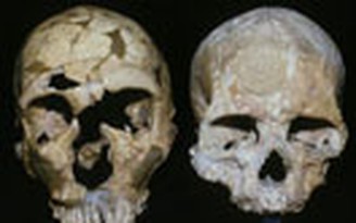 Người Neanderthal tuyệt chủng vì mắt quá to?