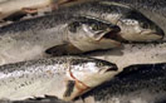 Kéo dài tuổi thọ nhờ omega-3