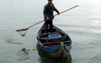 Trúng mùa đặc sản sứa