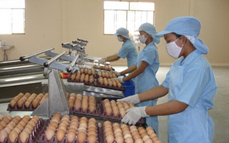 Đền bù giải tỏa bằng tiền kích cầu