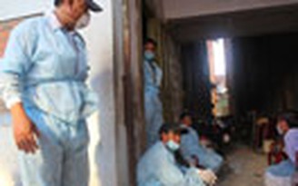 Công bố dịch cúm H5N1 trên đàn yến nuôi ở Ninh Thuận