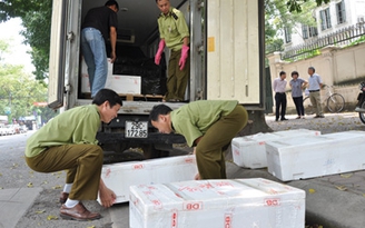Bắt giữ nhiều vụ tuồn nội tạng thối về Hà Nội
