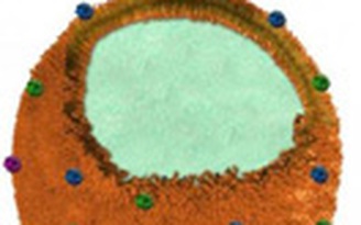 Bọt biển nano hút độc