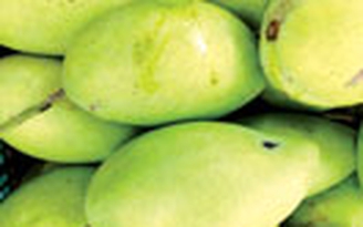 Xoài ngừa bệnh