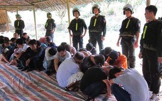 Truy trách nhiệm để băng nhóm lộng hành