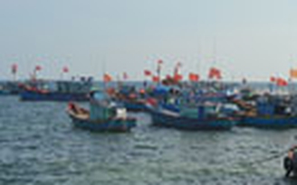 Cả nước thành lập 36 nghiệp đoàn nghề cá