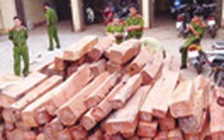 Phá vụ vận chuyển gỗ lậu
