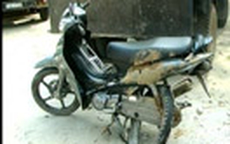 Lâm tặc lái ô tô đâm vào xe kiểm lâm