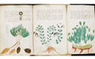 Bí ẩn cuốn sách Voynich