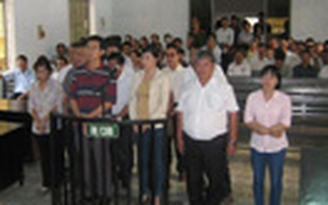 Bán quyền mua gỗ chỉ tiêu, 14 bị cáo lãnh án tù