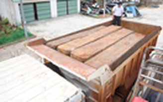 Bắt xe ben chở 14 phách gỗ lậu