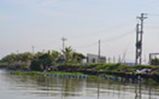 Điện về cù lao