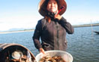 “Nhà giàn” trên phá Tam Giang
