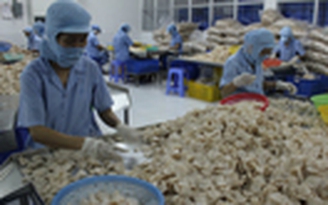 Doanh nghiệp nỗ lực vượt khó