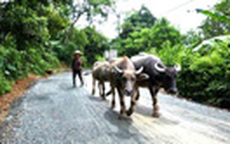Bản Mường ở thủ đô