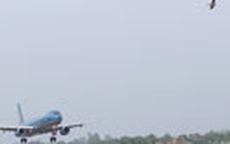Chim trời đe dọa ‘chim sắt’