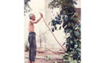 Ấn tượng Bùi Giáng